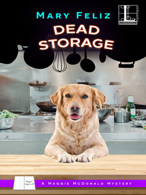 Dead Storage - ebook